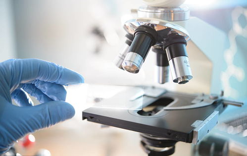 康苰生物 以核心肽科技鑄就匠心產品與卓越服務